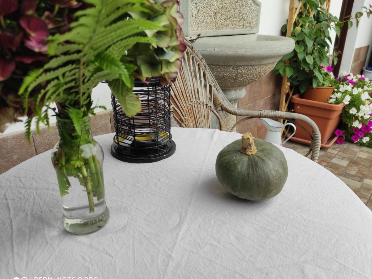 Maison Diletta Castelletto sopra Ticino Buitenkant foto
